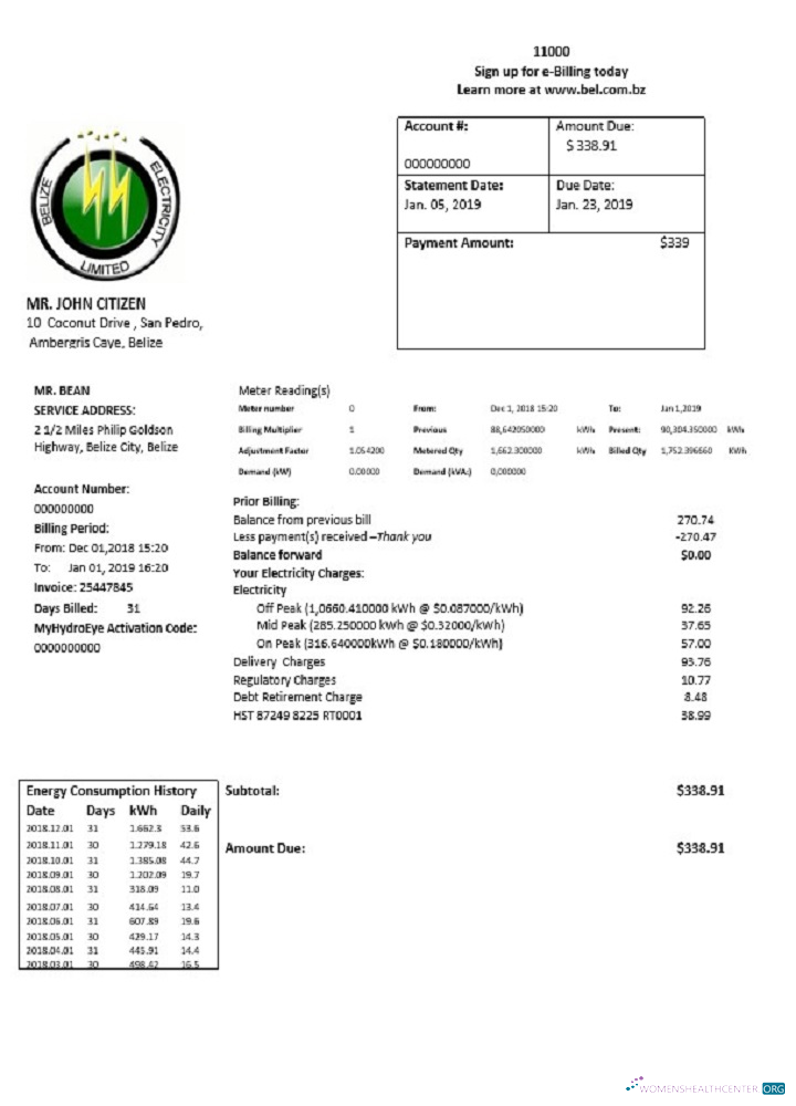 download Belize Electricity Limited electricity utility bill template in Word and PDF format PDF template